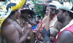 Manifesto Tupinambá