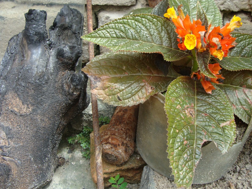 CONSTRUÇÃO DA CASA DE PARTO EM&nbsp;EUNÁPOLIS