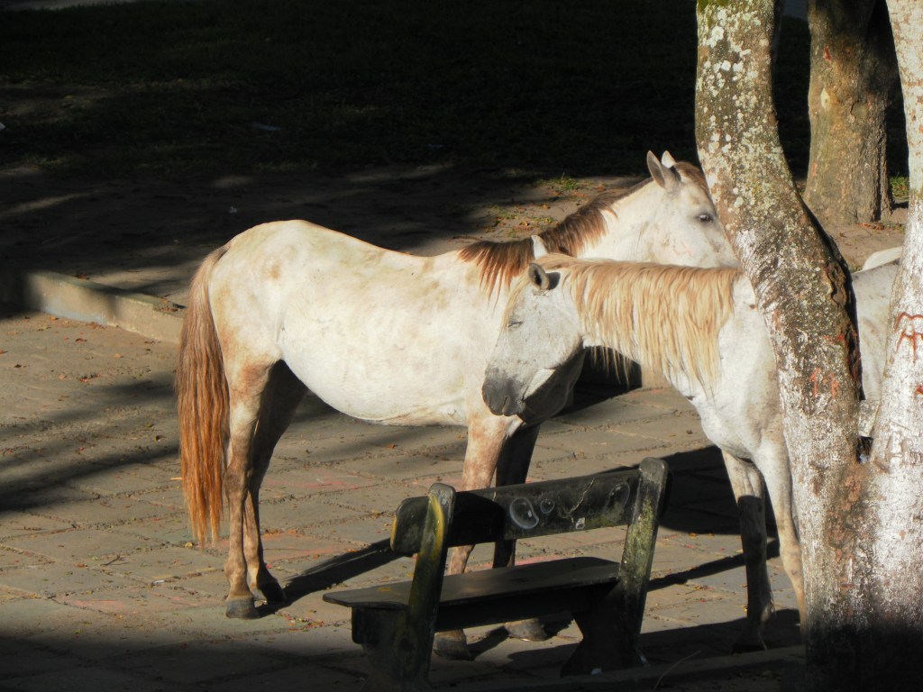 Pro caso dos Pontos de cultura: Ouvir a ministra é não ouvir futuro&nbsp;algum
