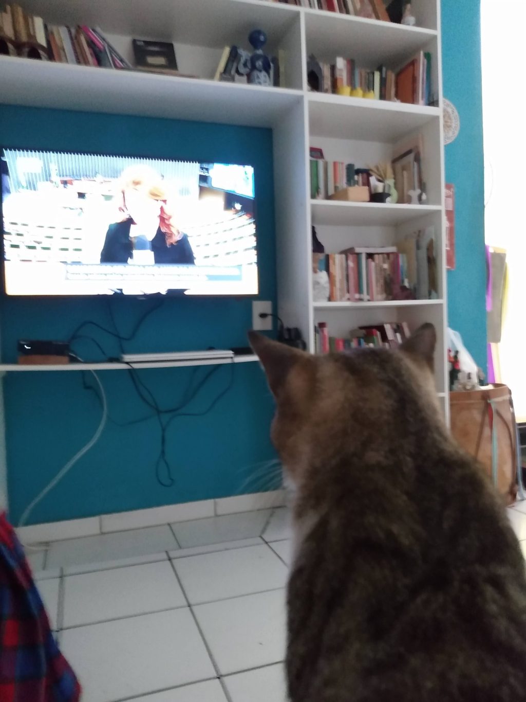 A ESCOLA PELO&nbsp;AVESSO