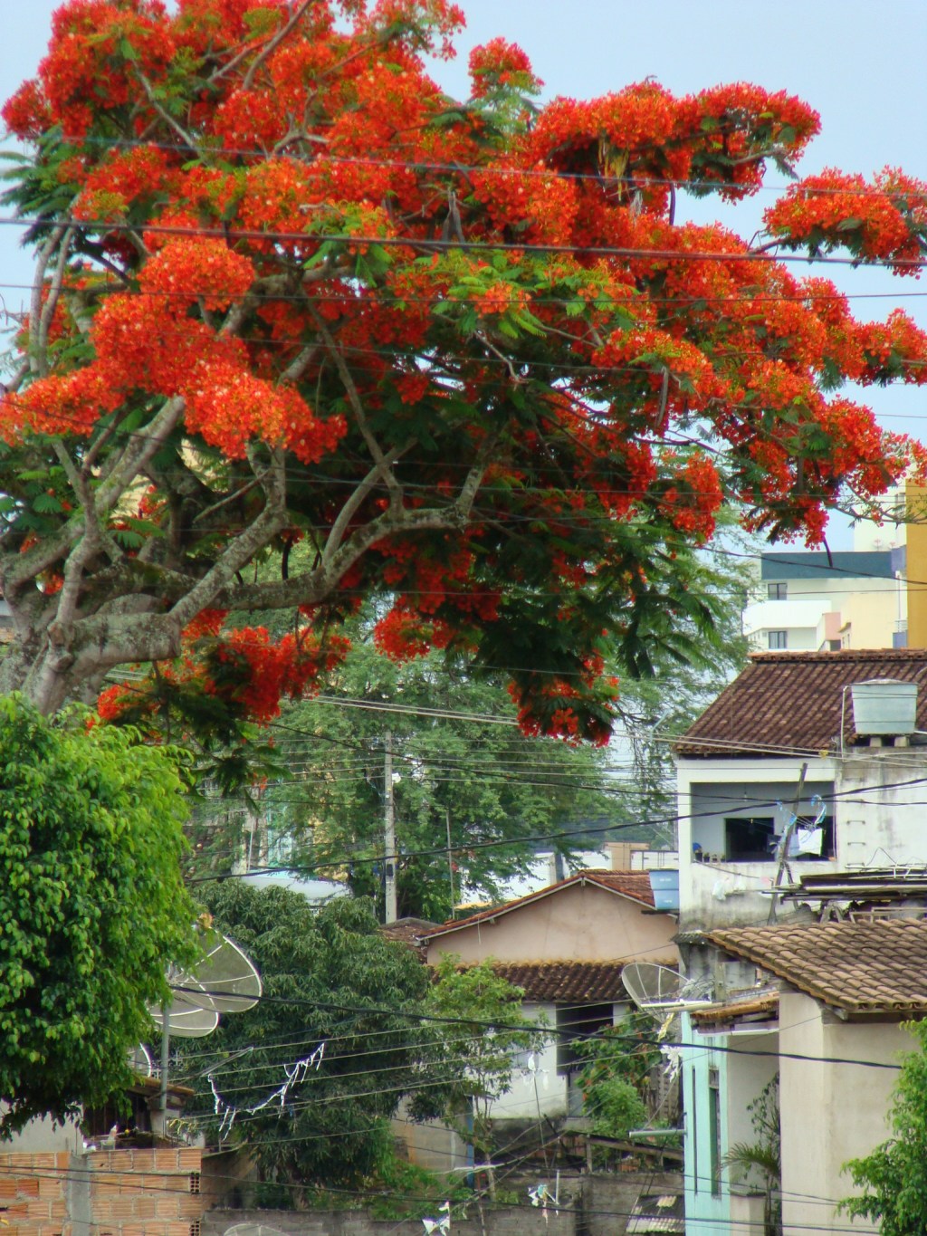 Poema em tempos de&nbsp;medo
