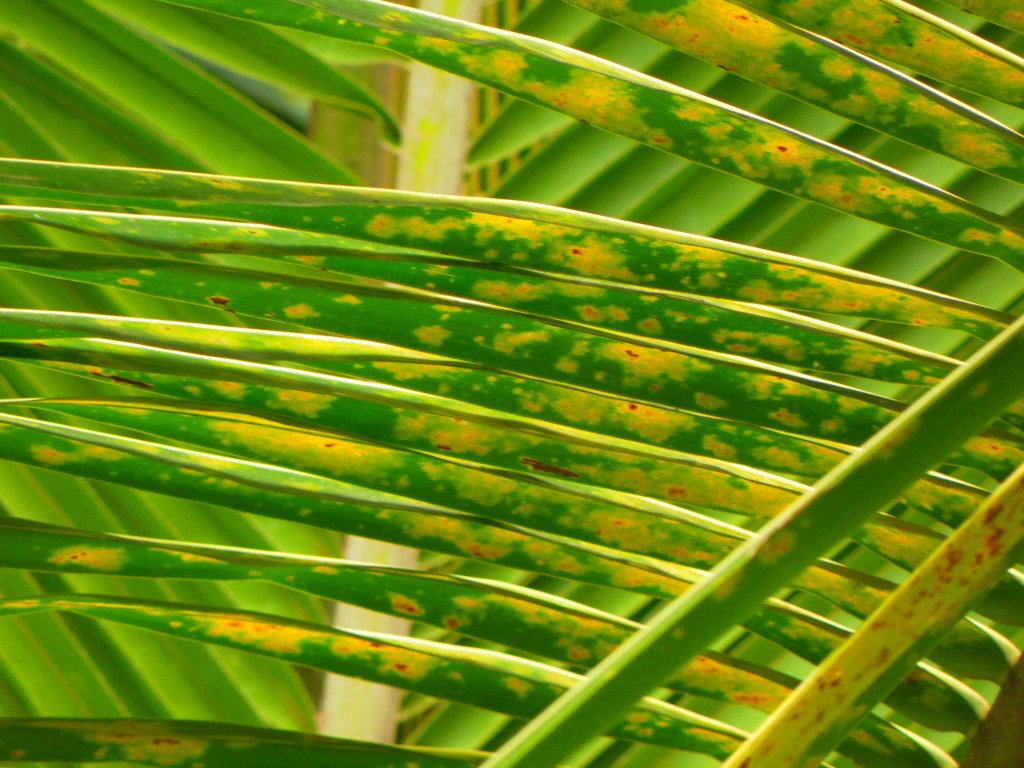 QUAL É O SEU&nbsp;EDITAL?