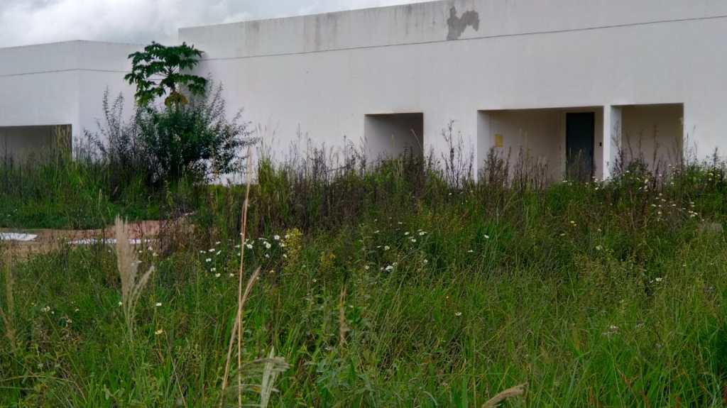 CEU DAS ARTES ABANDONADO. QUEM LIGA?