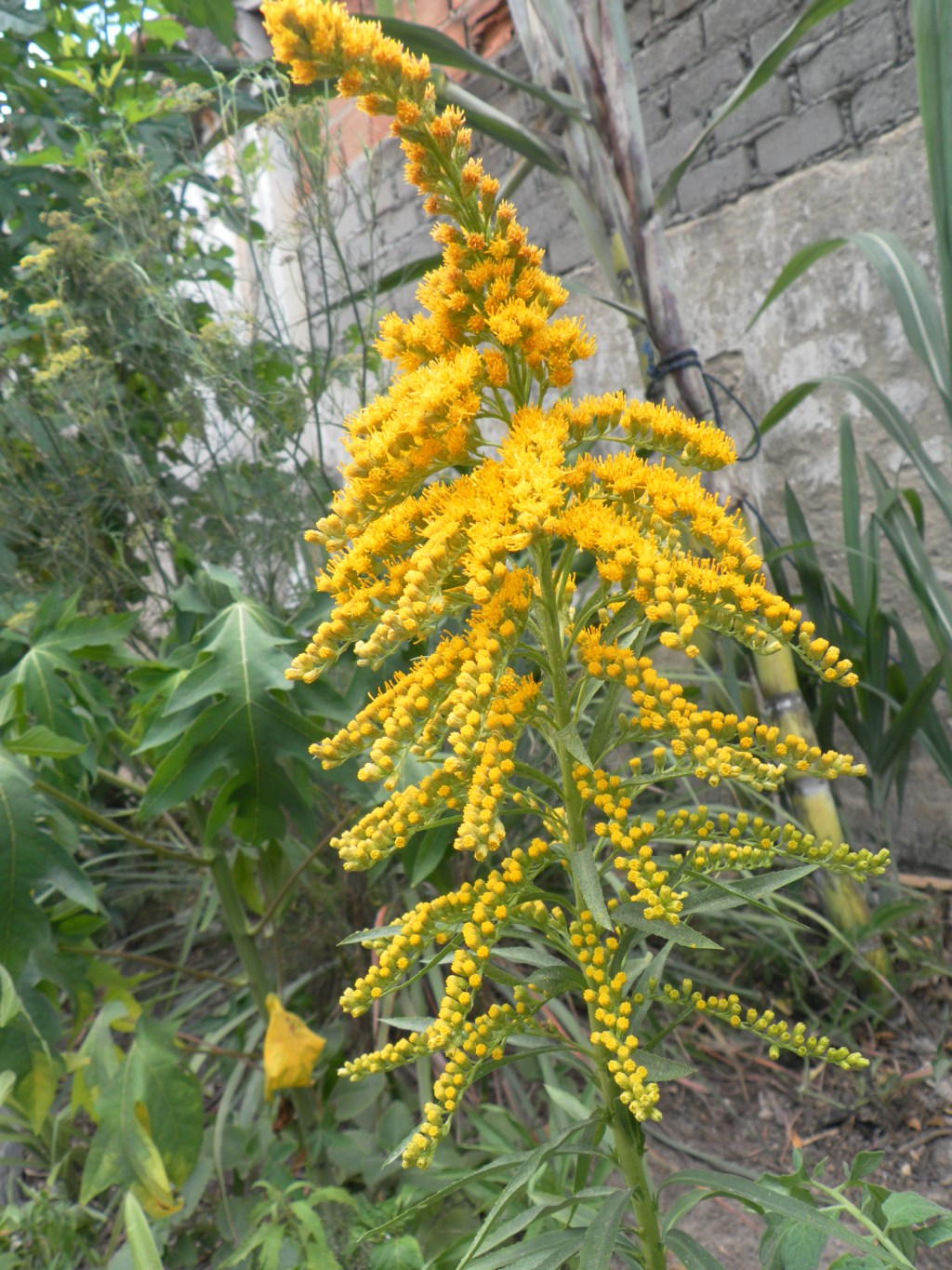 HORA DO PLANETA POR&nbsp;MINUTO