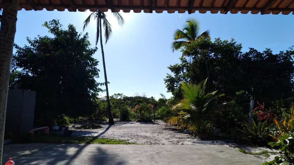Barracas ilegais em praias&nbsp;ameaçadas