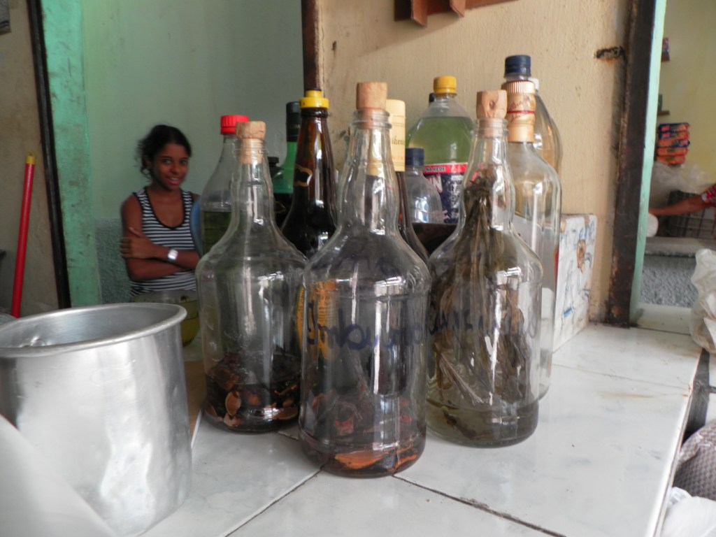 Alegoria da Copa 2014, alegria do&nbsp;minc