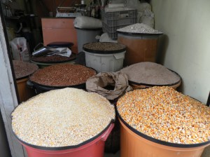 Sementes - de Joésia