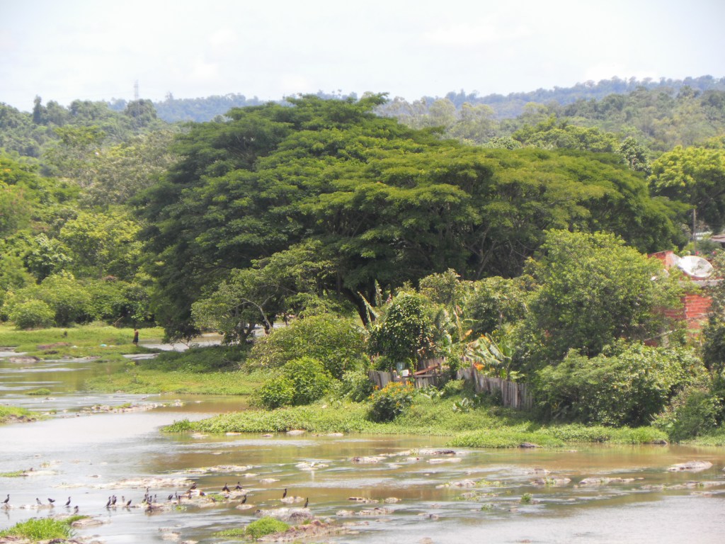 VIOLÊNCIA CONTRA OS PATAXÓ: até&nbsp;quando?