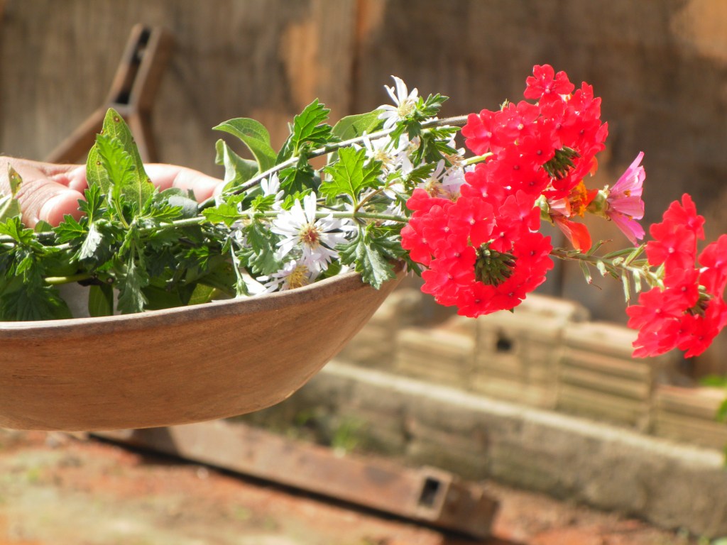 O ponto em&nbsp;cores