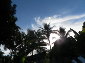 SAMSUNG DIGITAL CAMERA